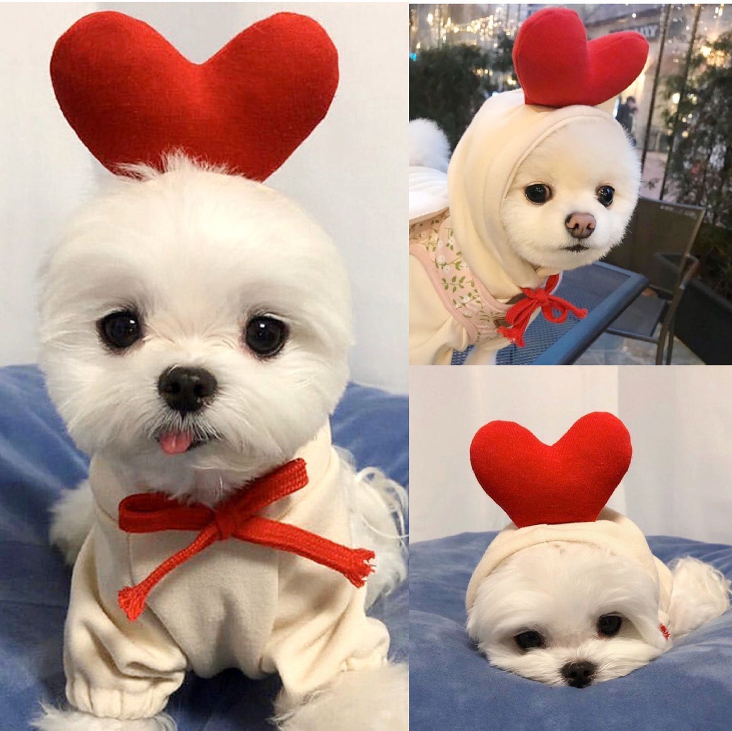 Cute Fruit Fleece Hoodie for Dogs / Puppies – Warm Winter Coat & Costume