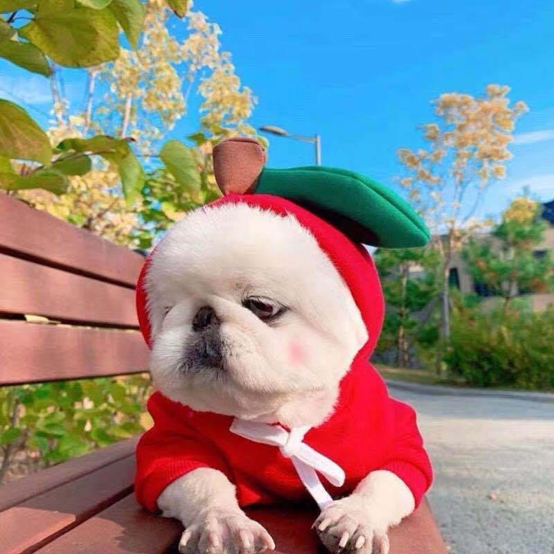 Cute Fruit Fleece Hoodie for Dogs / Puppies – Warm Winter Coat & Costume