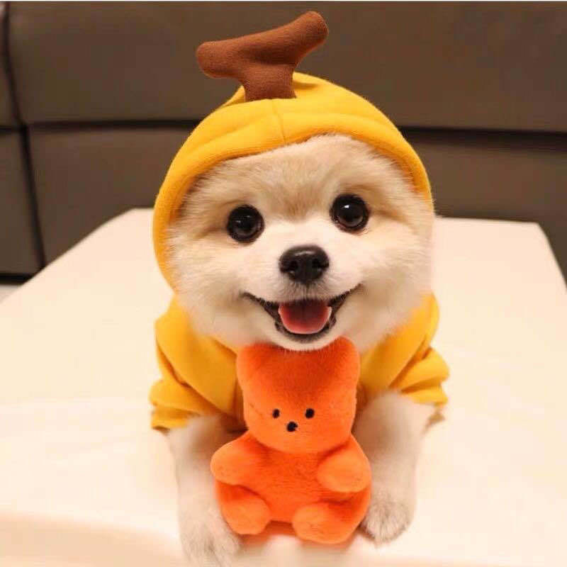 Cute Fruit Fleece Hoodie for Dogs / Puppies – Warm Winter Coat & Costume